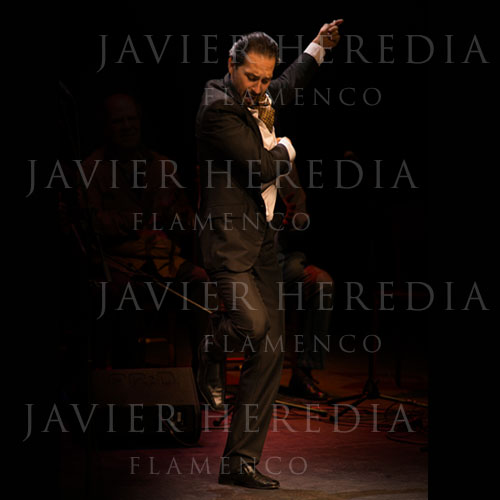 WEB-PHOTO-LOW-01